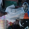 Fotos Kerala Nov-Dez 2011 teil 2 535.jpg